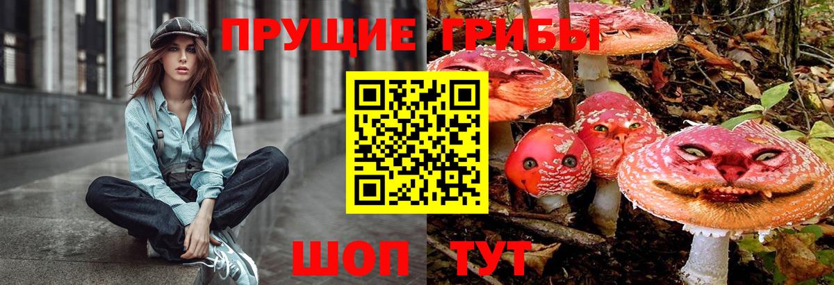 Оренбург  Псилоцибиновые грибы мицелий  как найти   Псилоцибиновые грибы MAGIC MUSHROOMS  Вход с VPN 