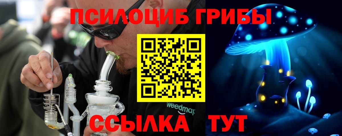 Галлюциногенные грибы Psilocybine cubensis Оренбург